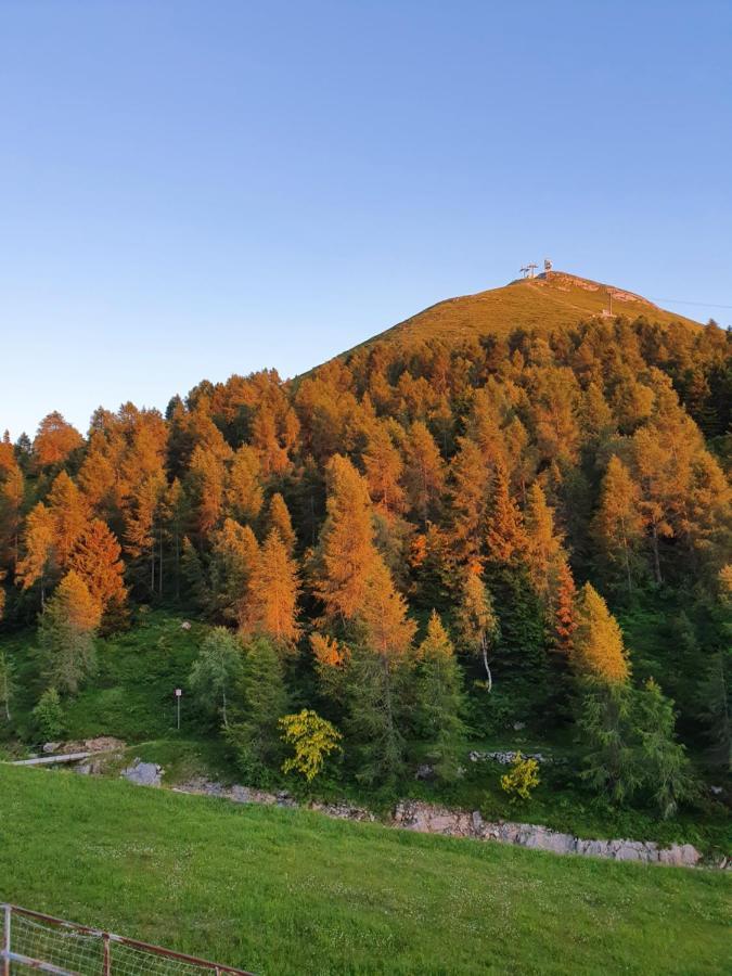 Rifugio Campelli Otel Barzio Dış mekan fotoğraf
